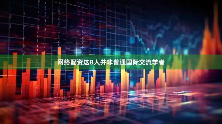 网络配资这8人并非普通国际交流学者